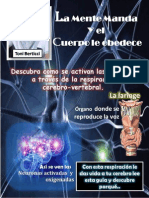 Guía Activacion de Las Neuronas PDF