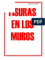 Fisuras en Los Muros