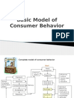 Basic Model of Consumer Behavior