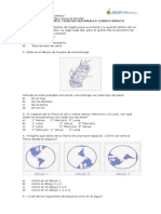 Ensayo SIMCE Ciencias Naturales 4 Básico 2015