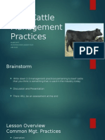 Beef Cattle Management Practices (Unit Plan)