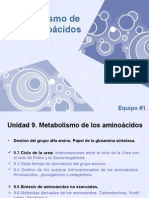 BQ-Metabolismo de Aminoacidos-Equipo 1