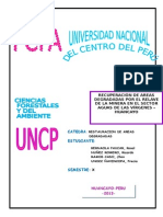 Recuperacion de Areas Degradadas Por El Relave de La Minera en Agua de Las Virgenes