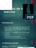 Análisis de La Marcha Capredena