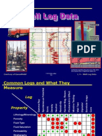 Well Log Data 2