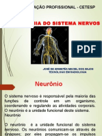 Aula Sistema Nervoso AULA 10