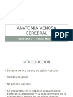 Anatomia Venosa Cerebral