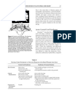 Clinical Manifestation of Acute Spinal Cord Injury