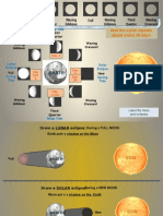 Moon Phases (Graphic Org)