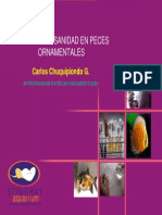 Peces Cuidados PDF