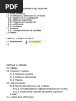 CAPITULO III - Estructura para Tesis