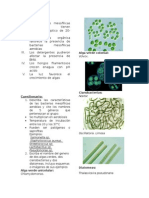 Cuestionario Practica 4