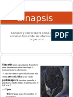 Sinapsis