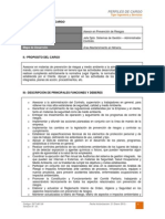 Dct-001.in Perfil de Cargo Asesor en Prevencin de Riesgos