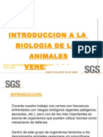 Animales Venenosos