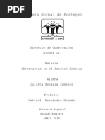 Proyecto de Observacion Preescolar USAER