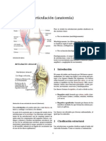 Clasificacion de La Articulaciones