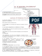 Guia Sistema Circulatorio CAMILA