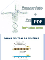 Aula 5 - Transcrição e Tradução Do DNA