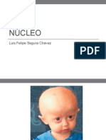  Nucleo