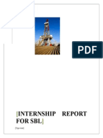 Sheikh Brother Lubricants Internship Report