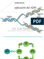 Clase 4 Replicacion Del Adn