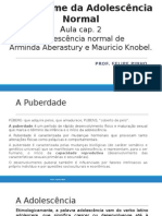 Aula - A Síndrome Da Adolescência Normal