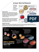 7 Bioethical Issue - Stem Cells