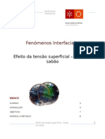 Fenómenos Interfaciais PL2