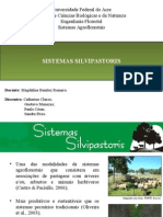 Sistemas Silvipastoris Slide Final