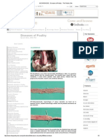 ASCARIDIOSIS - Diseases of Poultry - The Poultry Site