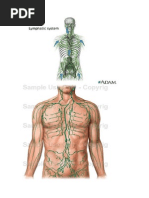 Lymphatic Massage