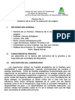 Práctica No. 3 Influencia de La Luz en La Producción de Oxígeno