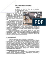 Manejo Terneros en Tambos PDF