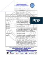 Distintas Plantas (Ewé) y Sus Aplicaciones