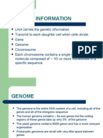 Transfer of Genetic Information