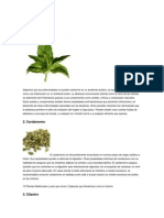 Plantas Medicinales