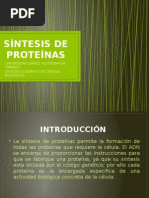 Síntesis de Proteínas