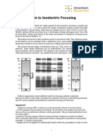 Isoelectric Focusing Guide