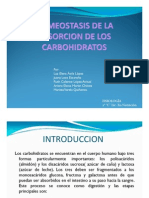 2c - Homeostasis de La Absorcion de Los Carbohidratos