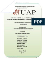 Saneamiento Ambiental UAP