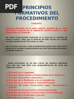 Principios Formativos Del Procedimiento 