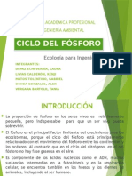 Ciclo Del Fosforo