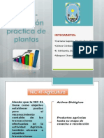 Nic 41 - Aplicacion Plantas