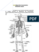 Aparato Locomotor