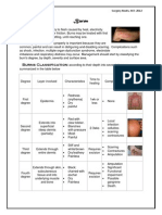 Burns Classification