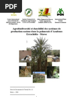 Rapport Maroc 20041