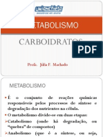 Aula 2 e 3 - Metabolismo Dos Carboidratos PDF