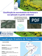 Classificação Macrohabitats Pantanal PDF