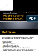 Fiebre Catarral Maligna